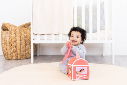 Montessori Learning Kit (6-12 Months)